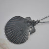 OOAK, Scallop Shell - with Barnacles