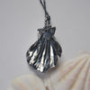 OOAK, Scallop Shell - with Barnacles