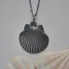 OOAK, Scallop Shell - with Barnacles