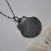 OOAK, Scallop Shell - with Barnacles