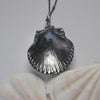 OOAK, Scallop Shell - with Barnacles