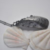 OOAK, MA Mussel Shell - with Barnacles