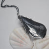 OOAK, MA Mussel Shell - with Barnacles