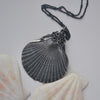 OOAK, Flat Scallop Shell - with Barnacles