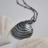 OOAK, Venus Shell - with Barnacles