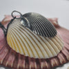PRE-ORDER, Classic Scallop Shell, chain included