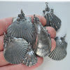 OOAK, Scallop Shell - with Barnacles