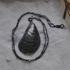 MA Mussel Shell - BLEMISHED