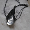 MA Mussel Shell - BLEMISHED