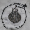 Lion's Paw Shell, chain included