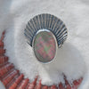 Size 10 - Crown of Shells - Rainbow Abalone