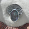 Size 7.25 - Can be stretched to a size 7.5 at request, Seashell Crown