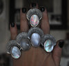Size 9.5, Crown of Shells - Seashell Enamel Moonstone