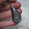 MA Mussel Shell - BLEMISHED