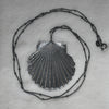 Scallop Shell, chain included