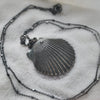OOAK, Scallop Shell - with Barnacles