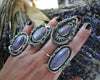 Size 9, Purple Jade, Lavender Fields
