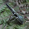 Size 5, Beneath the Ferns, Star Moonstone