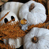 Size 8.5, Rooted Pumpkin