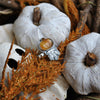 Size 8.5, Rooted Pumpkin