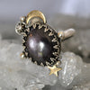 Size 12, Moon&Star Fortuna, Star Sapphire