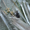 SIZE 9, Black Cat Lily Queen! Lily of the Valley