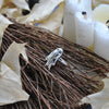 SIZE 6, A haunting! Ghost Rings