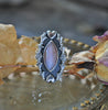 Size 7.25, Hearts & Violets