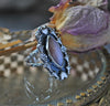Size 7.25, Hearts & Violets