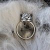 SALE! Size 6.5, Moon Cat