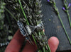 Size 10, Amethyst, Lavender Fields
