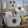 Size 6, Witch Ghost