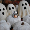 Size 6, Jack's Lantern