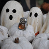 Size 6, Jack's Lantern