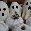 Size 7, Jack's Lantern