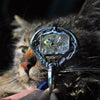 Hagstone #2, Prism of Clarity, Superstions & Lore
