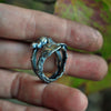 Size 8, Falling Leaves, Superstions & Lore