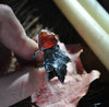 Size 5, Falling Leaves, Superstions & Lore, Hessonite Garnet