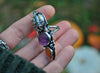 SIZE 6, Warty Pumpkin Hocus Pocus ring!