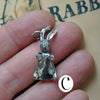 Velveteen Rabbits