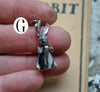 Velveteen Rabbits